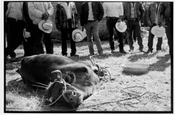 tarahumara-06.jpg