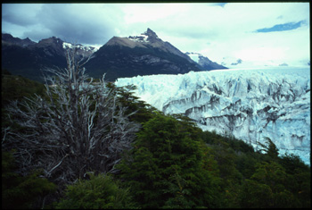 P.moreno-05.jpg