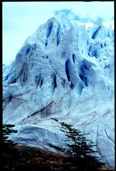 P.moreno-06.jpg