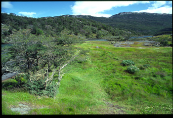 ushuaia-17.jpg