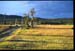 tolhuin-04.jpg
