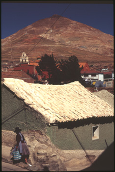 potosi-04.jpg