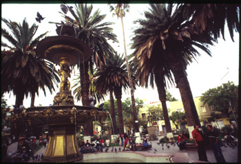 tarija-07.jpg