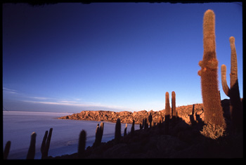uyuni-105.jpg