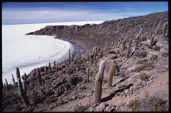 uyuni-106.jpg