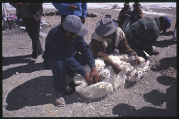 uyuni-116.jpg