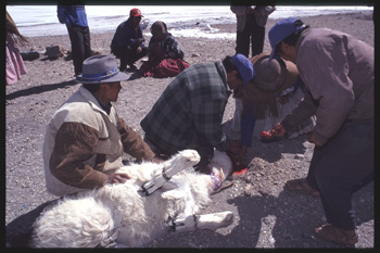 uyuni-117.jpg