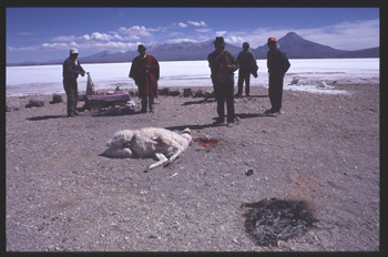 uyuni-118.jpg