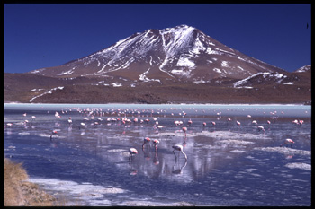 uyuni-166.jpg