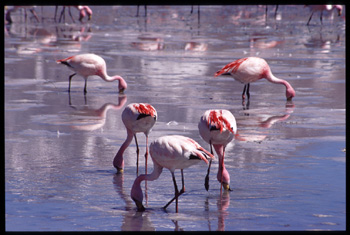 uyuni-168.jpg
