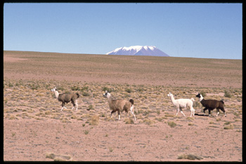 uyuni-182.jpg
