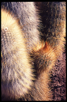 uyuni-200.jpg
