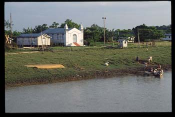 amazonie-01.jpg