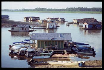 amazonie-02.jpg