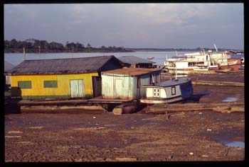 amazonie-03.jpg