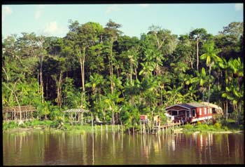 amazonie-10.jpg