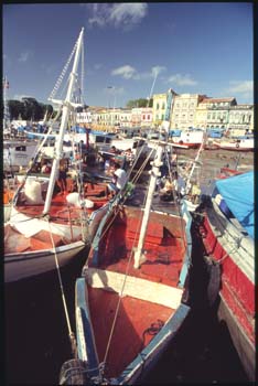 belem-05.jpg