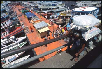 manaus-05.jpg