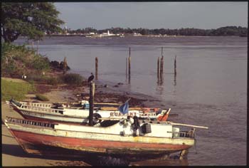 marajo-01.jpg
