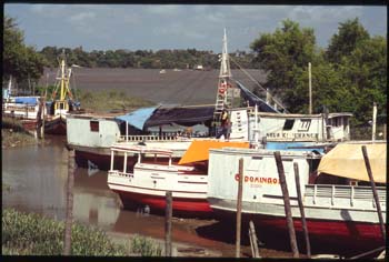 marajo-02.jpg
