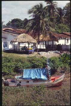 marajo-03.jpg