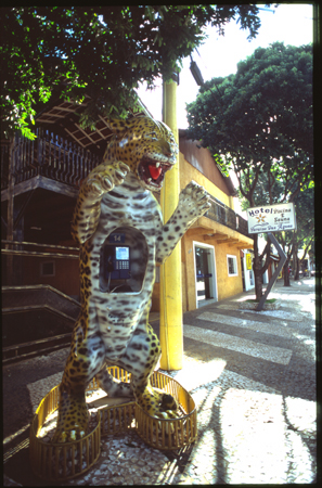 bonito-01.jpg