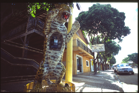 bonito-02.jpg