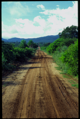 pantanal-06.jpg