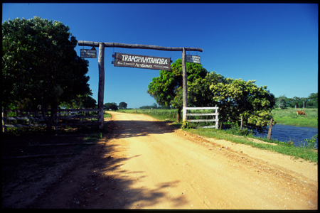 pantanal-07.jpg