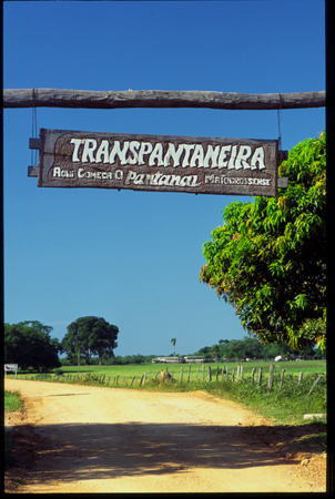 pantanal-08.jpg