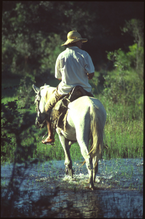pantanal-19.jpg