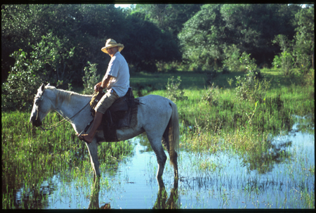 pantanal-20.jpg
