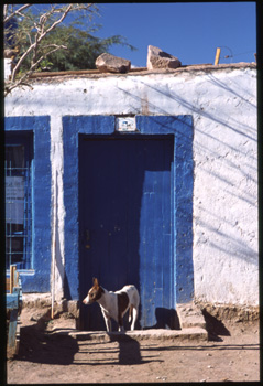 atacama-09.jpg