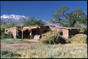 atacama-10.jpg