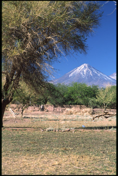 atacama-11.jpg