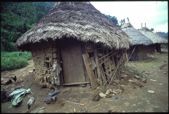 kogi-11.jpg