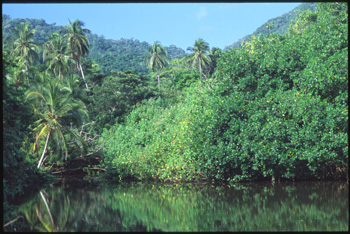 parc-tayrona-02.jpg