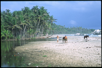 parc-tayrona-03.jpg