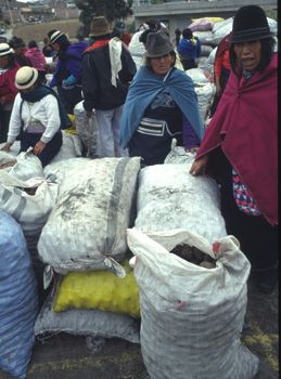cajabamba-01.jpg
