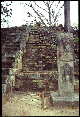 copan-01.jpg