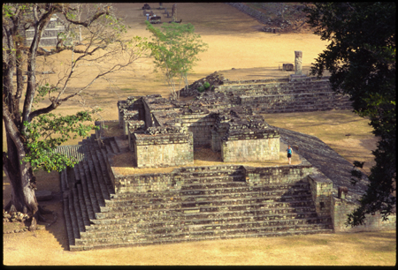 copan-02.jpg