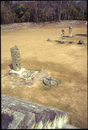 copan-03.jpg