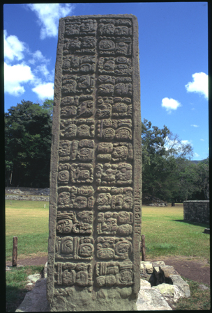 copan-05.jpg