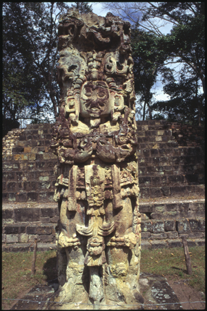 copan-06.jpg