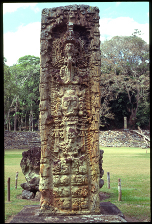 copan-08.jpg
