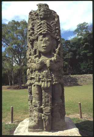 copan-09.jpg