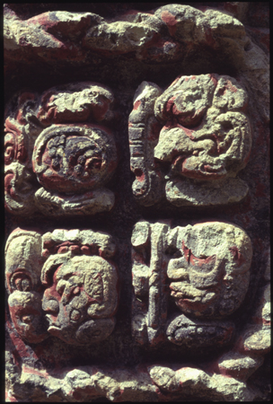 copan-10.jpg