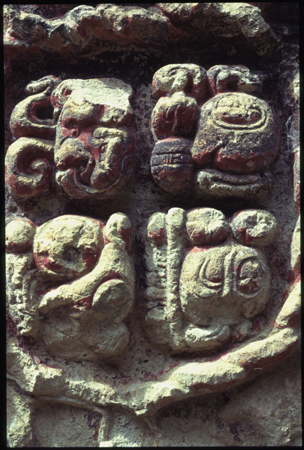 copan-11.jpg