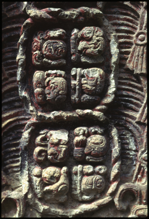 copan-12.jpg