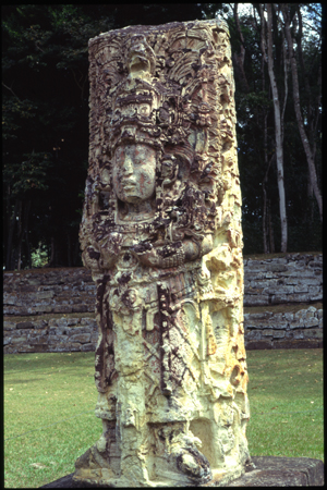 copan-13.jpg